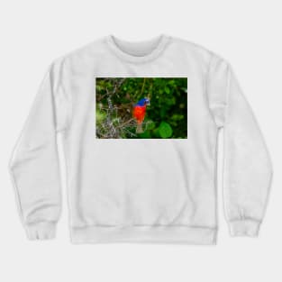 Colorful Painted Bunting -Painterly Crewneck Sweatshirt